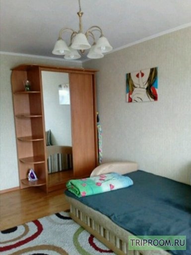 1-комнатная квартира посуточно (вариант № 45001), ул. Литовский вал, фото № 3