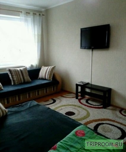 1-комнатная квартира посуточно (вариант № 45747), ул. Литовский вал, фото № 3
