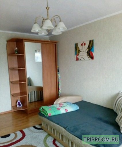 1-комнатная квартира посуточно (вариант № 45747), ул. Литовский вал, фото № 5