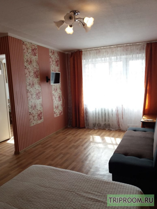 1-комнатная квартира посуточно (вариант № 72905), ул. Ленинский проспект, фото № 4